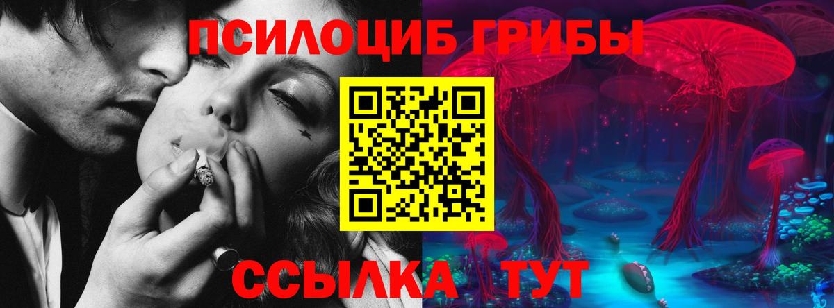 Выкса  Псилоцибиновые грибы Psilocybine cubensis  Вход с VPN  Псилоцибиновые грибы GOLDEN TEACHER 