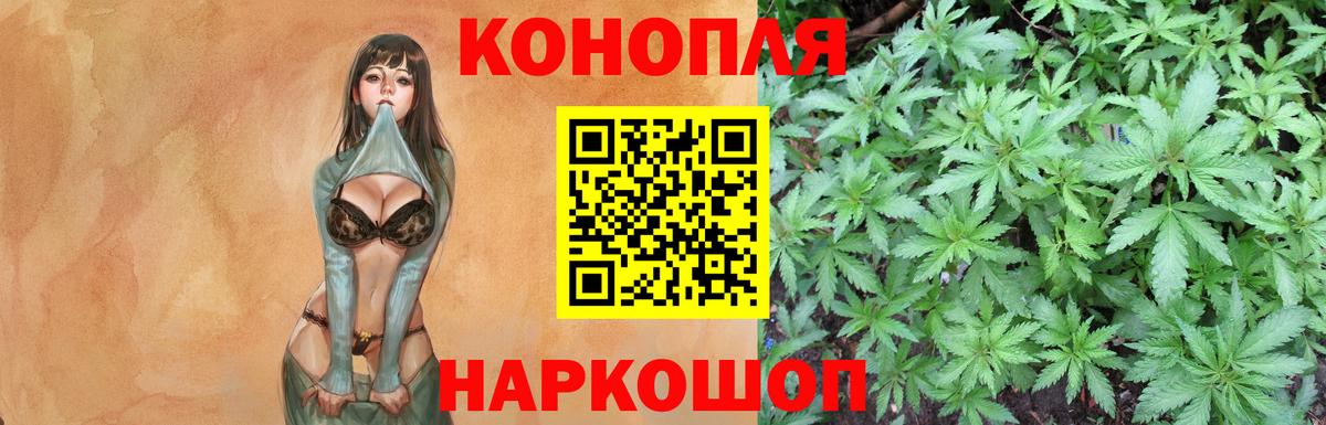 Конопля план  Вход с VPN  Бошки марихуана OG Kush  Выкса  МАРИХУАНА семена  Шишки марихуана марихуана 